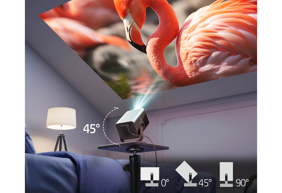 Απεικονίζεται o προβολέας να προβάλλει πρόγραμμα με φλαμίνγκο στο ταβάνι.